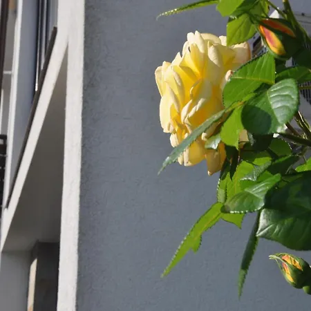 Summer In Viyana Appartement *