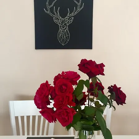 Summer In Viyana Appartement