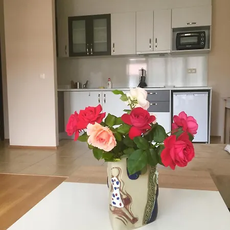 Summer In Viyana 아파트 네세부르